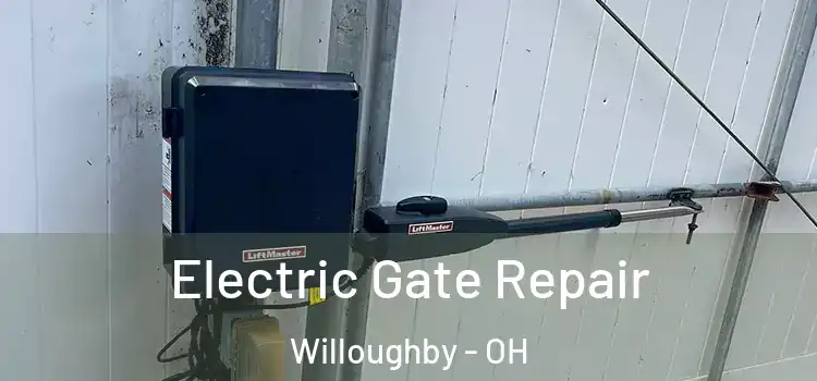 Electric Gate Repair Willoughby - OH