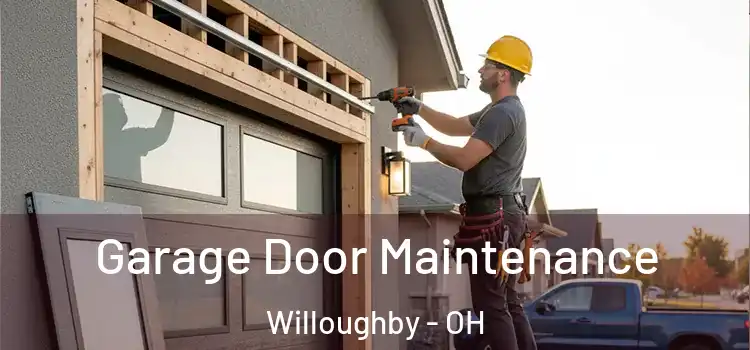 Garage Door Maintenance Willoughby - OH