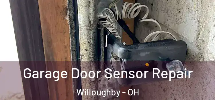 Garage Door Sensor Repair Willoughby - OH