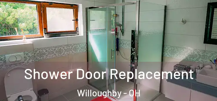 Shower Door Replacement Willoughby - OH